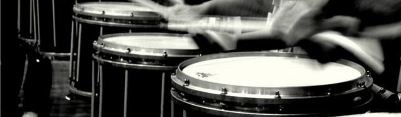 Announcing Drum Horse - A New Business Services Company